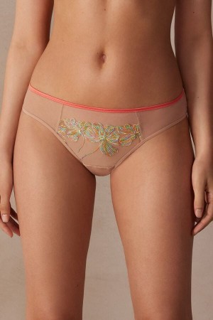 Intimissimi Candy Colors Panties Gekleurd | PNLQX34261