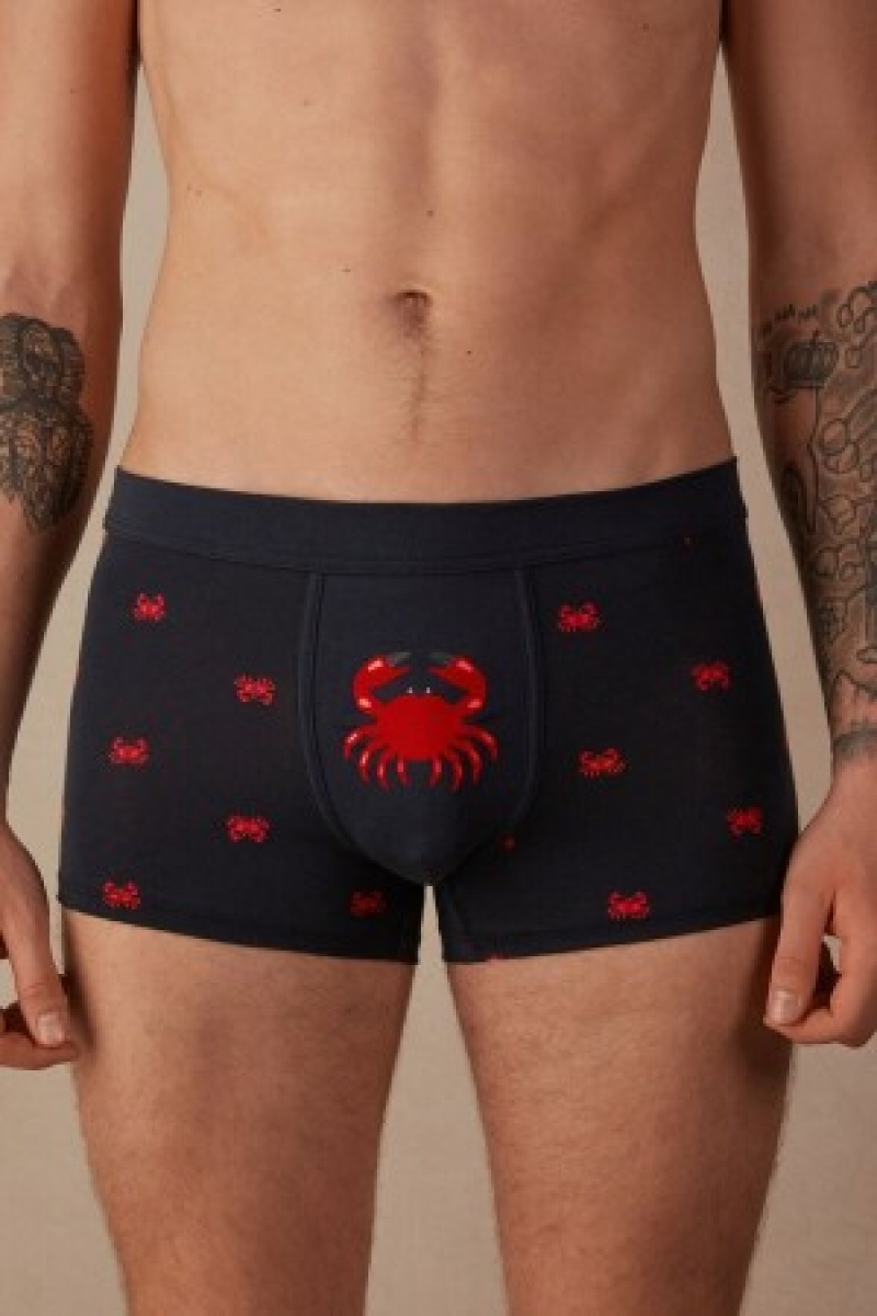 Intimissimi Crab Boxers in Natural Fresh Supima® Katoenen Blauw | NLZPD17292