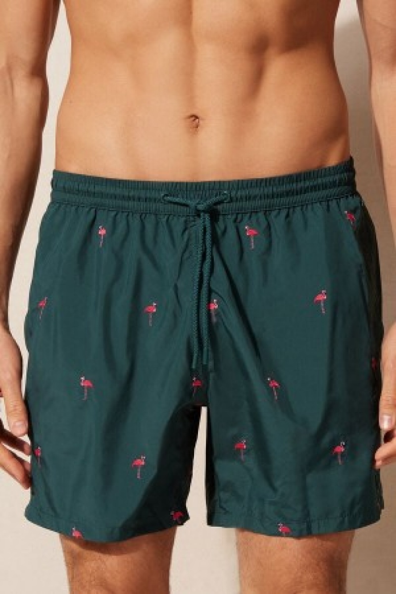 Intimissimi Embroidered Flamingo Swim Trunks Groen | NLCIF41545