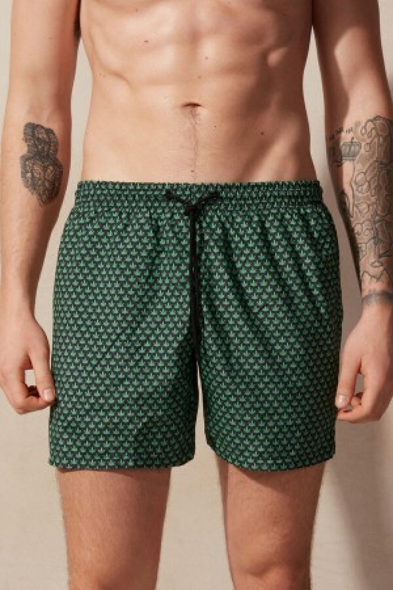 Intimissimi Micro Leaf Print Swim Trunks Groen | SNLVO25780